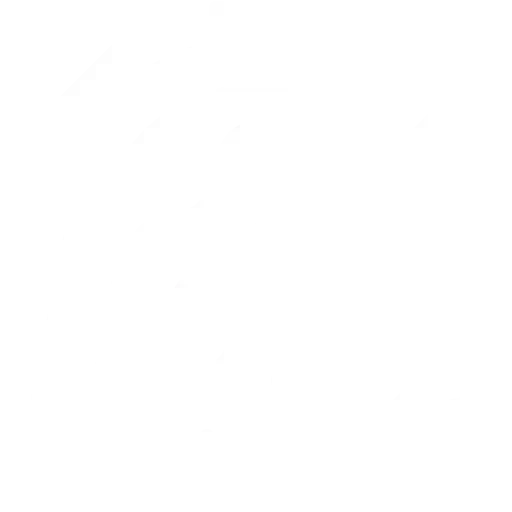 customer